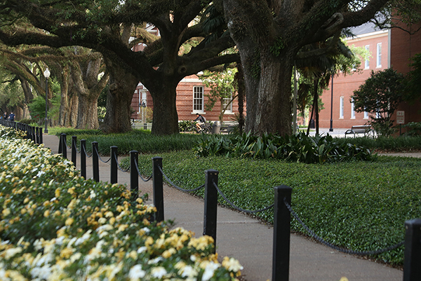 Beautiful landscaping at the UL Lafayette campus